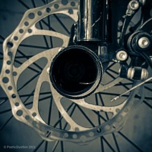 Don’t break the cycle. Get out of it. - Poetic Dustbin