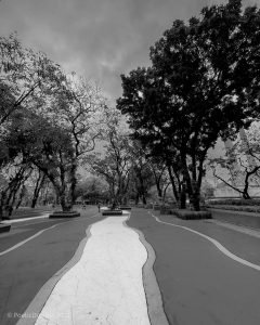 poetic dustbin - Parallel Timelines