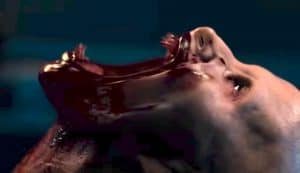 Blood Red Sky Review - Netflix - Poetic Dustbin