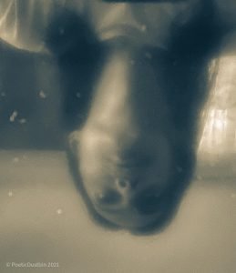 I love my drug buddy - Poetic Dustbin