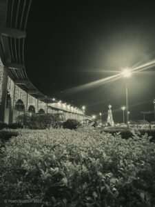 A Certain Kind of Light - Trinoma