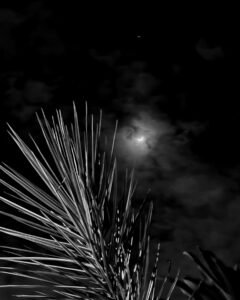 the-pale-moon-poeticdustbin