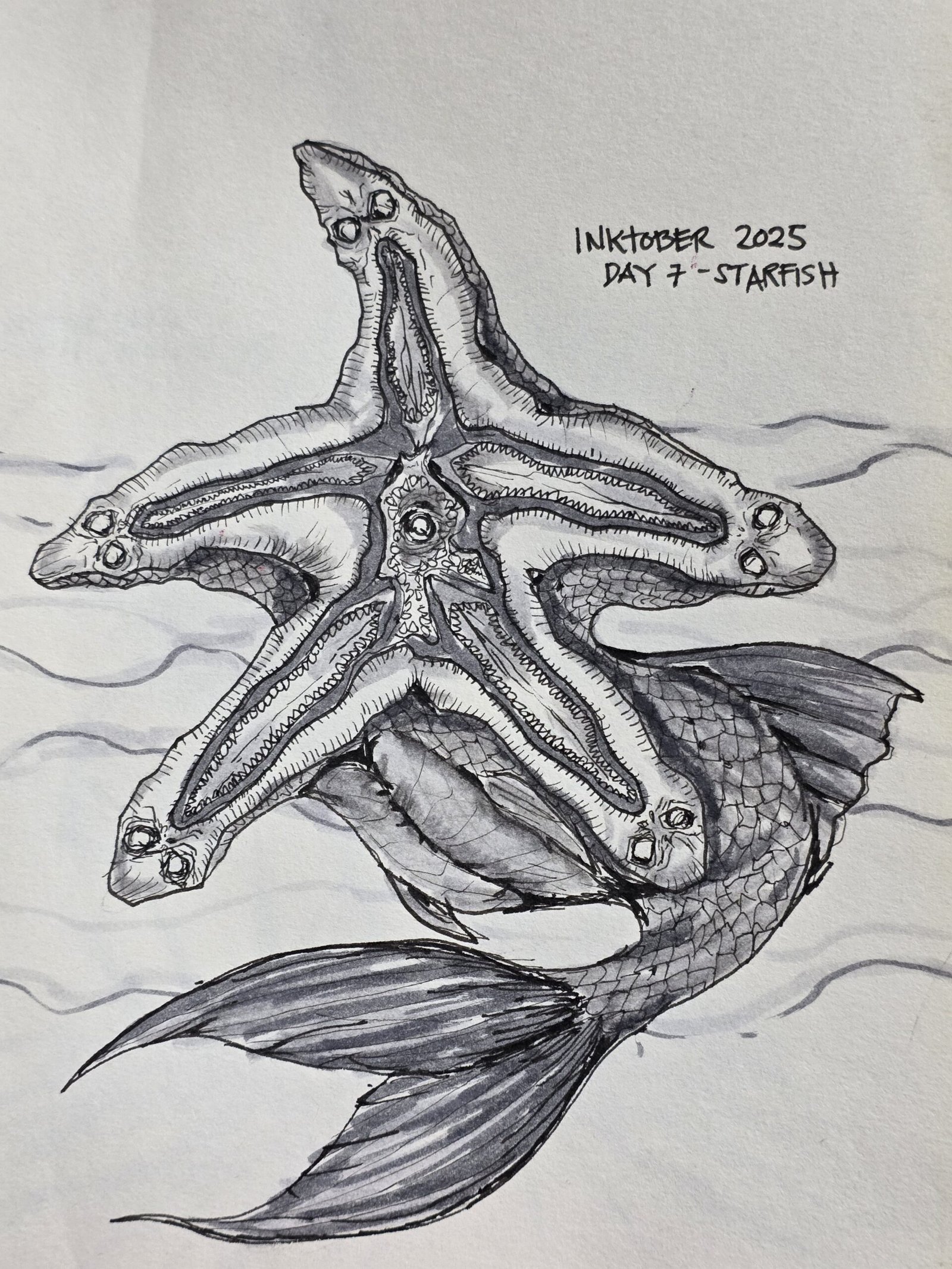 Inktober 2027 - Day 7 - Starfish